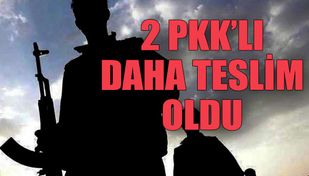 2 PKK lı daha teslim oldu!