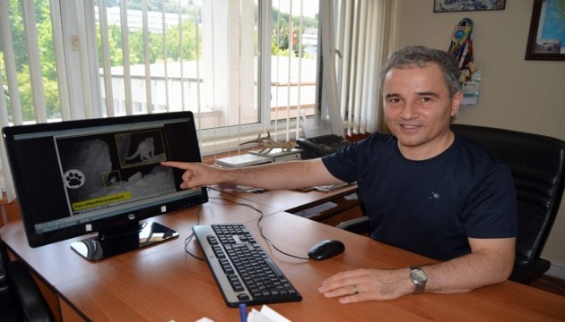 Prof. Dr. uyardı: Ayıyı görünce şarkı söyleyin