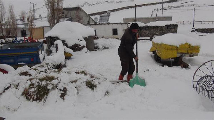 Bu kar altın değerinde