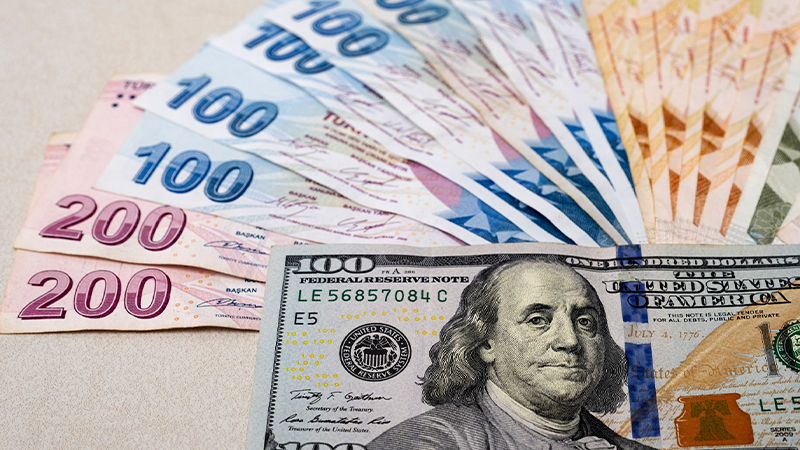 Ünlü bankalardan Dolar/TL tahmini
