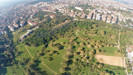 Validebağ Korusu Projesi için yürütmeyi durdurma kararı