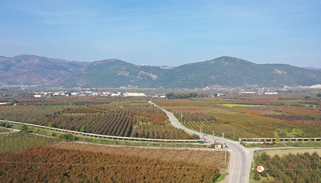 Bursa da ova kısmında çöküntü tehlikesi