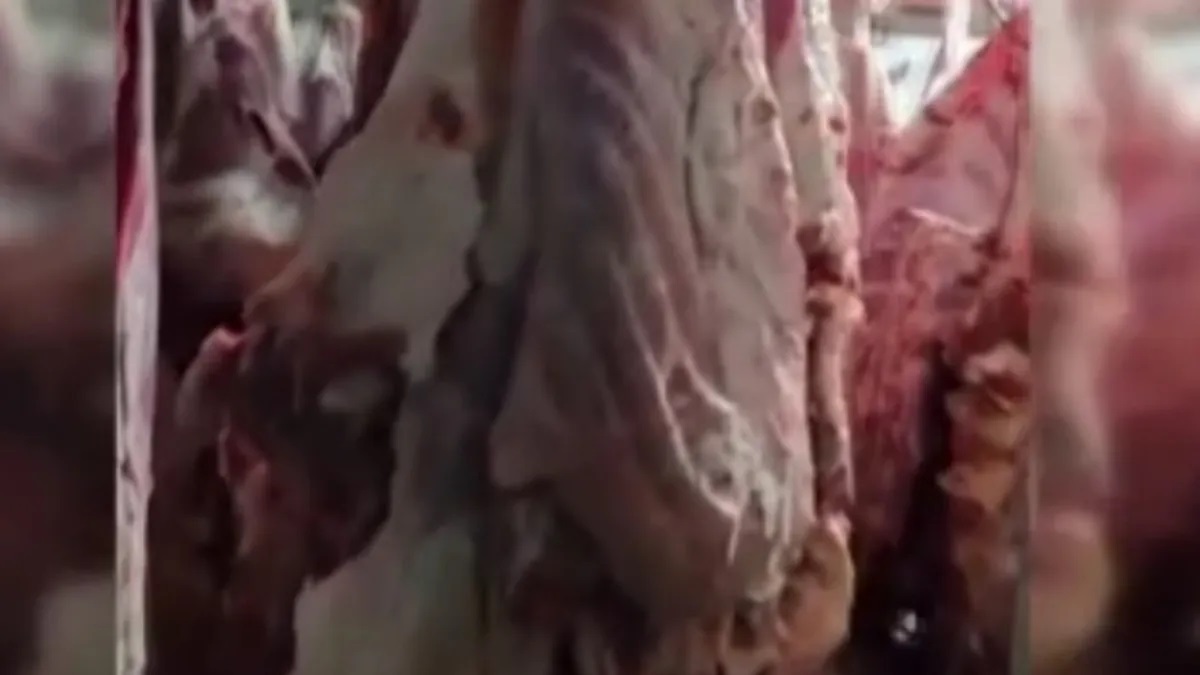 Bakanlık paylaştı: 1,5 ton et imha edildi