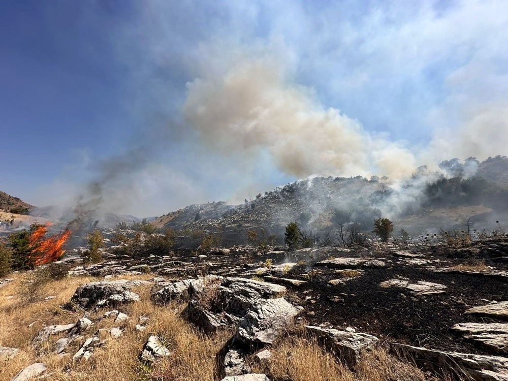 Adana, Bingöl ve Muğla da orman yangını