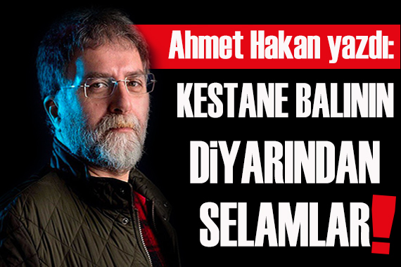 Ahmet Hakan yazdı: Kestane balının diyarından selamlar!