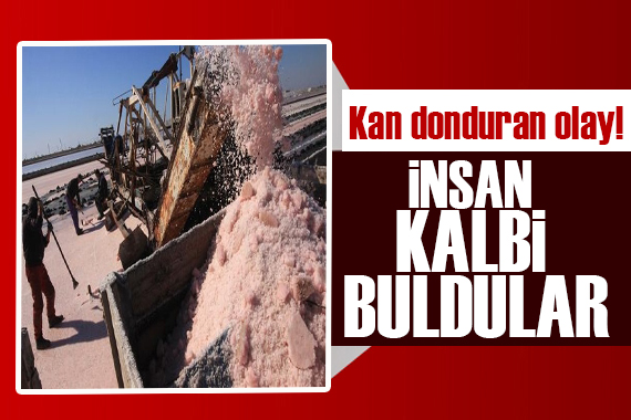 Kan donduran olay! Tuzlu su üretim tesisinde insan kalbi buldular