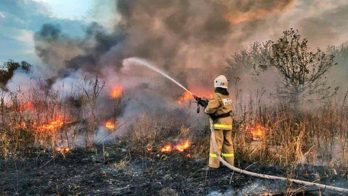 Rusya’da orman yangınları! Söndürme çalışmaları sürüyor