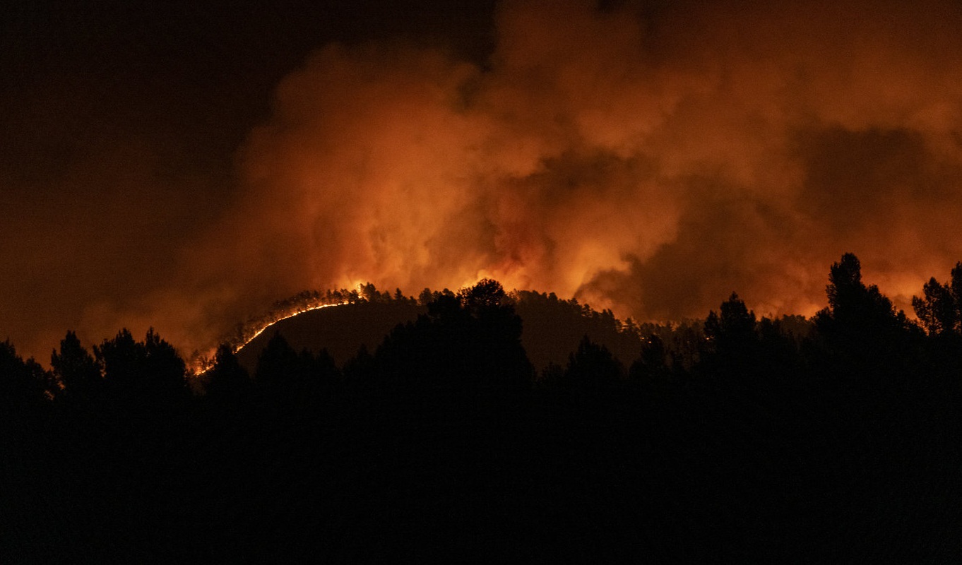 Yangın 7 gündür devam ediyor: 4 bin 600 hektarlık alan kül oldu
