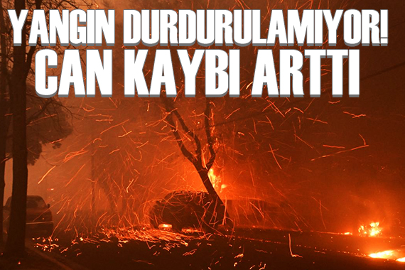 Los Angeles ta can kaybı artıyor