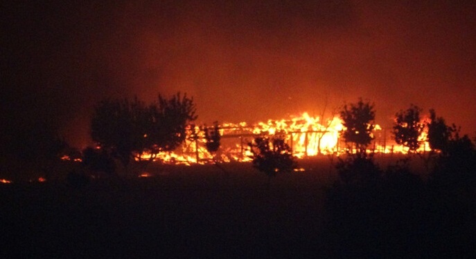 İzmir ve Manisa daki orman yangınları kontrol altında