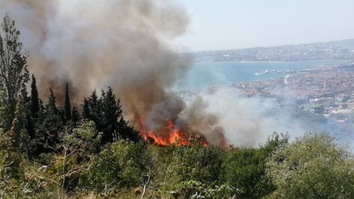 İstanbul da otluk alanda yangın!