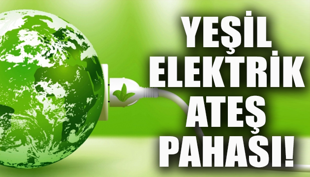 Yeşil elektrik ateş pahası!