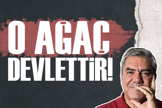 Yılmaz Özdil: O Ağaç devlettir!