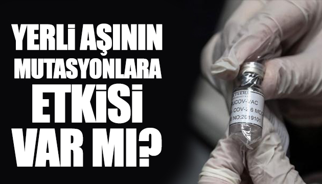 Yerli aşının mutasyonlara etkisi var mı?