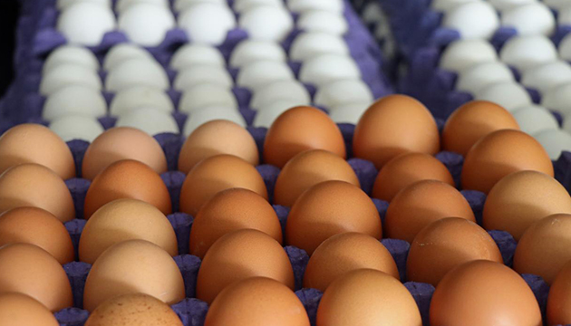 Yumurtacılar fahiş fiyatları reddetti: Maliyetine satıyoruz!