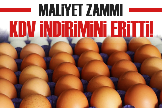 Yumurtada maliyet zammı KDV indirimini eritti!