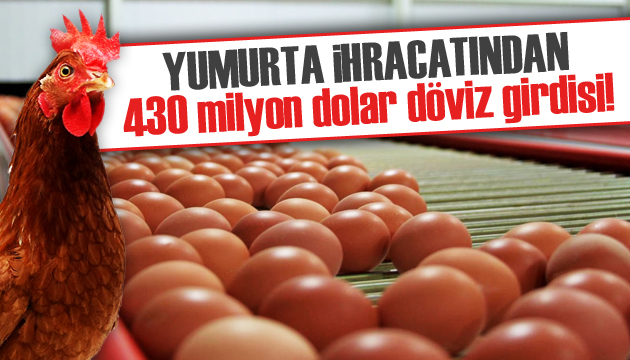Yumurta ihracatından 430 milyon dolar döviz girdisi!
