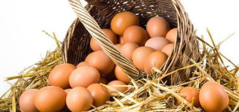 Yumurtanın fiyatı rekora koşuyor!