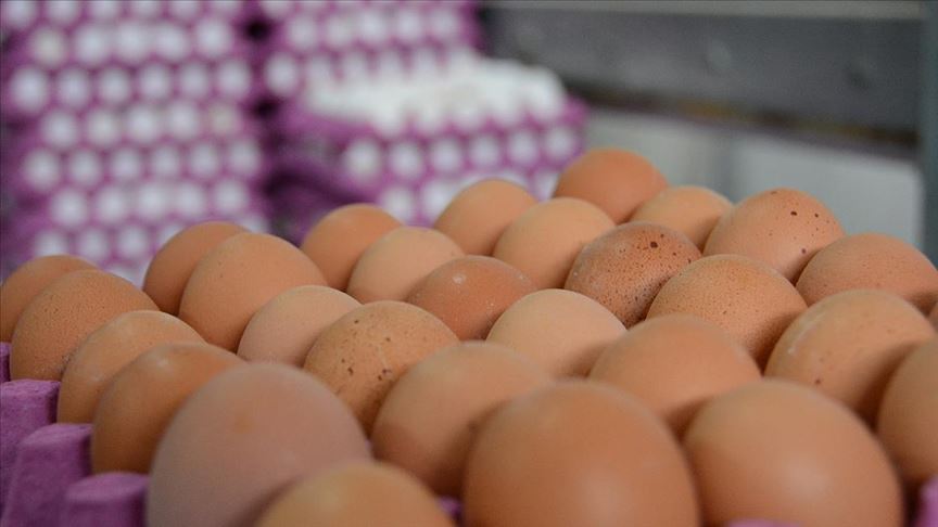 Yumurtanın koli fiyatı 5 TL ye düştü
