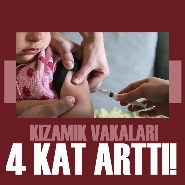 Bursa Milletvekili Kayıhan Pala'dan TBMM'de kızamık alarmı