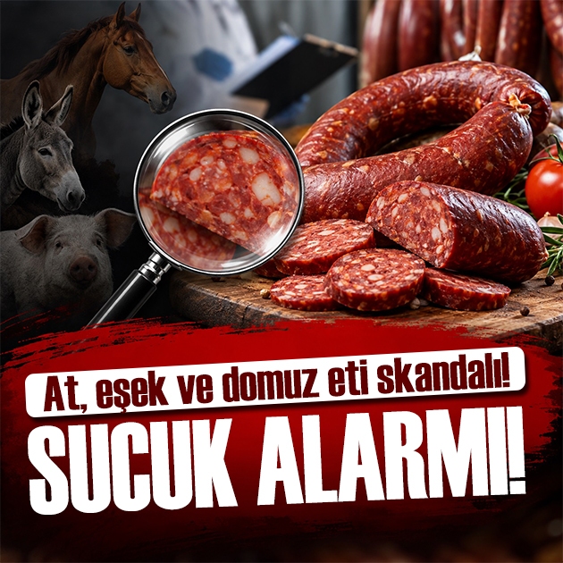 11 ilde sucuk alarmı! At, eşek ve domuz eti tespit edildi