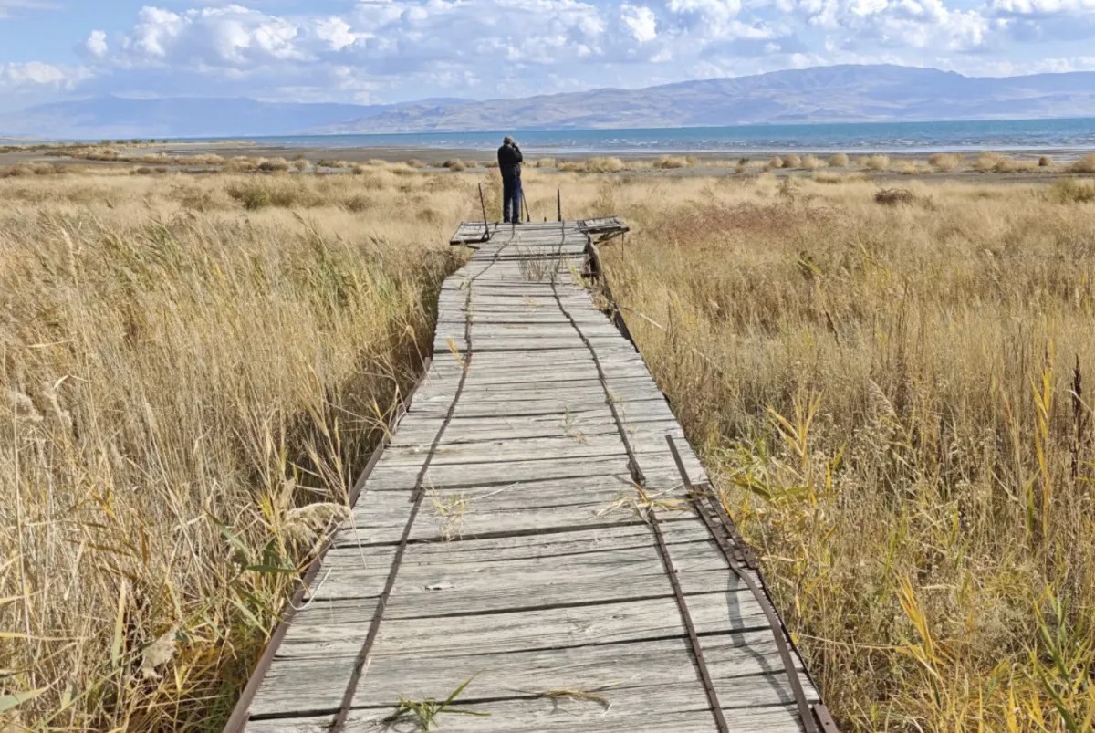 Van Gölü nde kuraklığın fotoğrafı