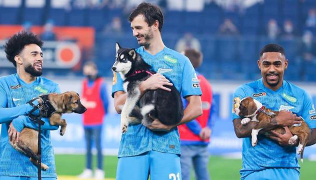 Sahaya barınak köpekleriyle birlikte çıktılar!