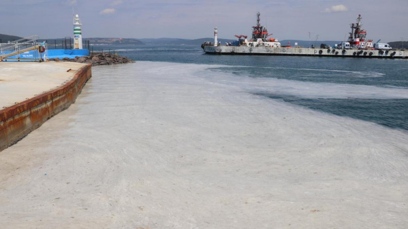 Müsilaj balık tüketimini düşürdü! – Güncel Haberler, Son Dakika